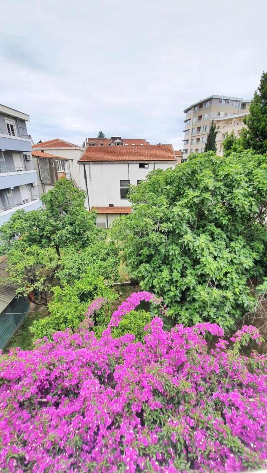 Vojinovic Apartments Budva Ruang foto