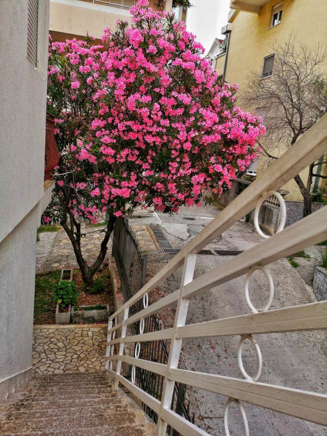 Vojinovic Apartments Budva Bagian luar foto